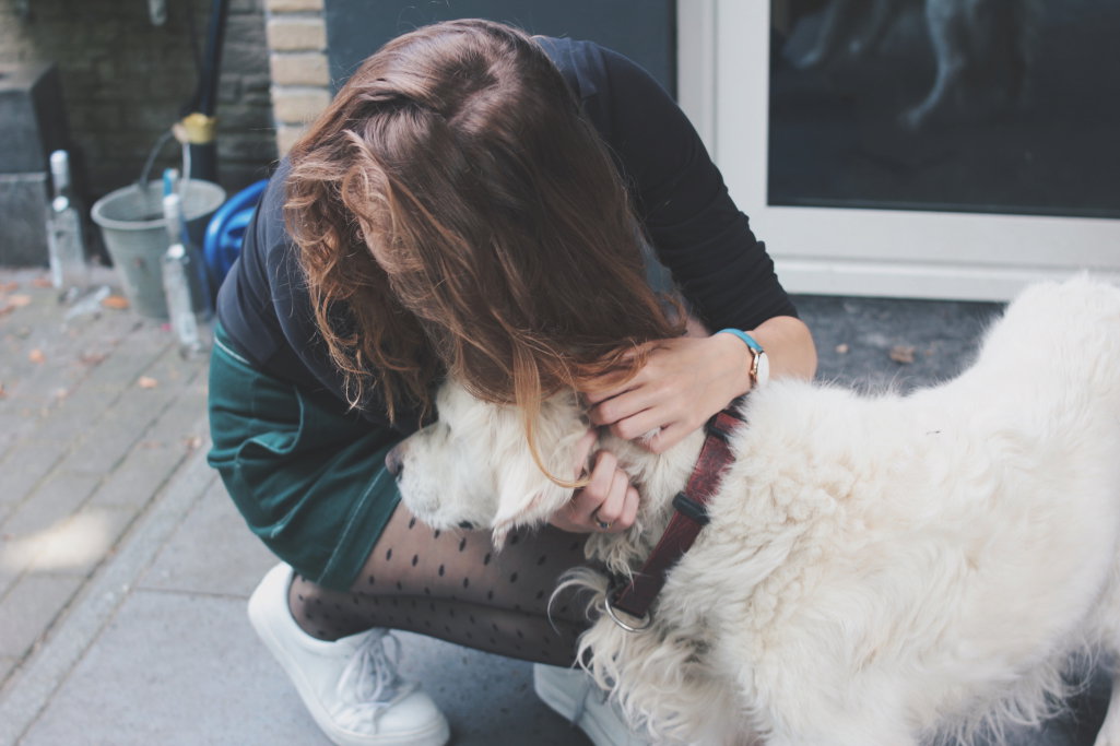 Charelle, pet sitter in Rotterdam, photo 5