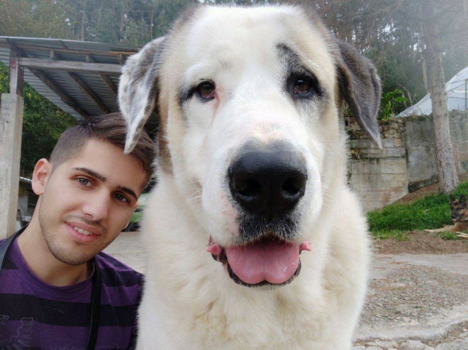 Omar, pet sitter in Amersfoort, photo 2