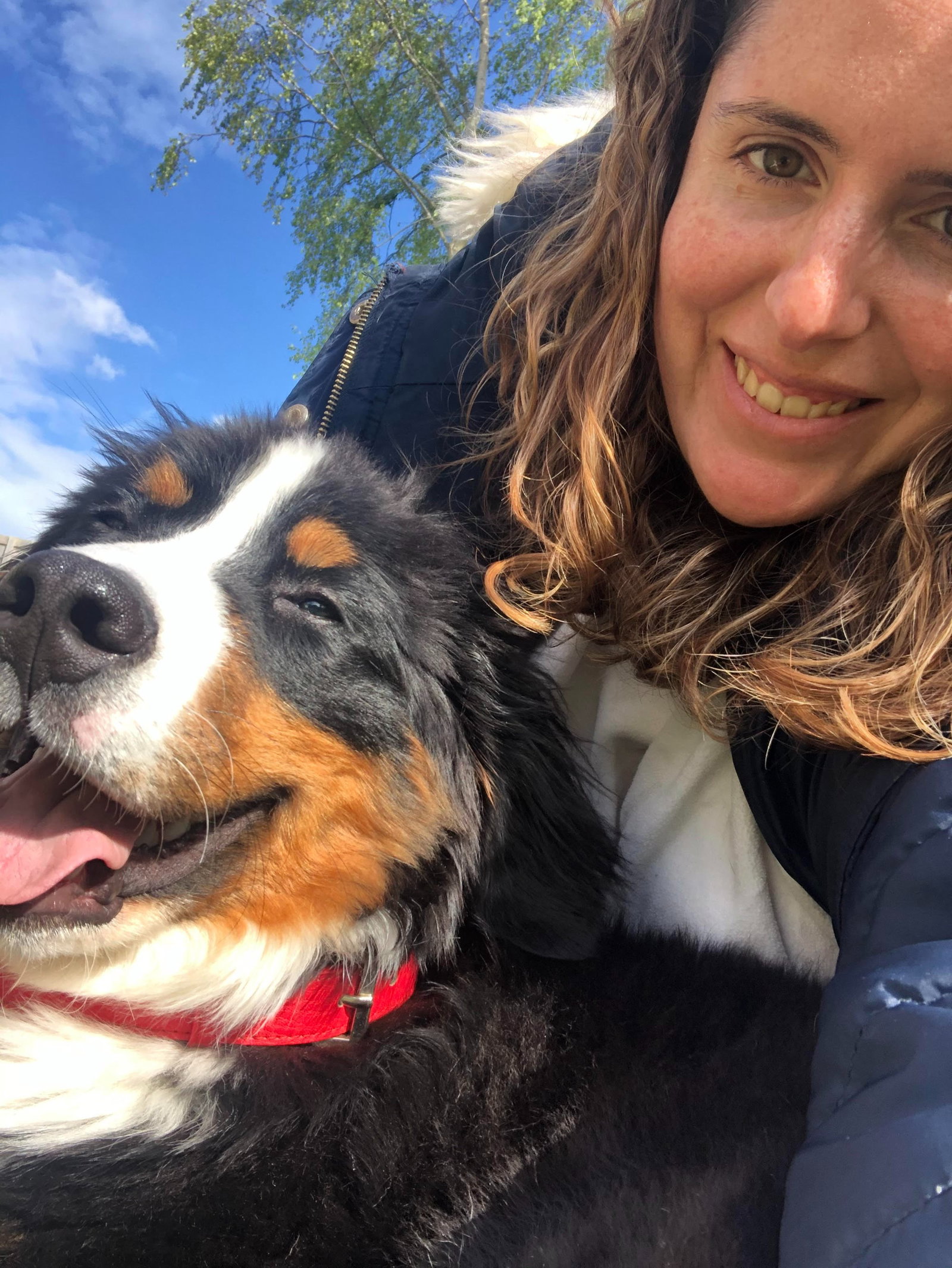Lourdes, pet sitter in 's-Gravenhage, photo 2