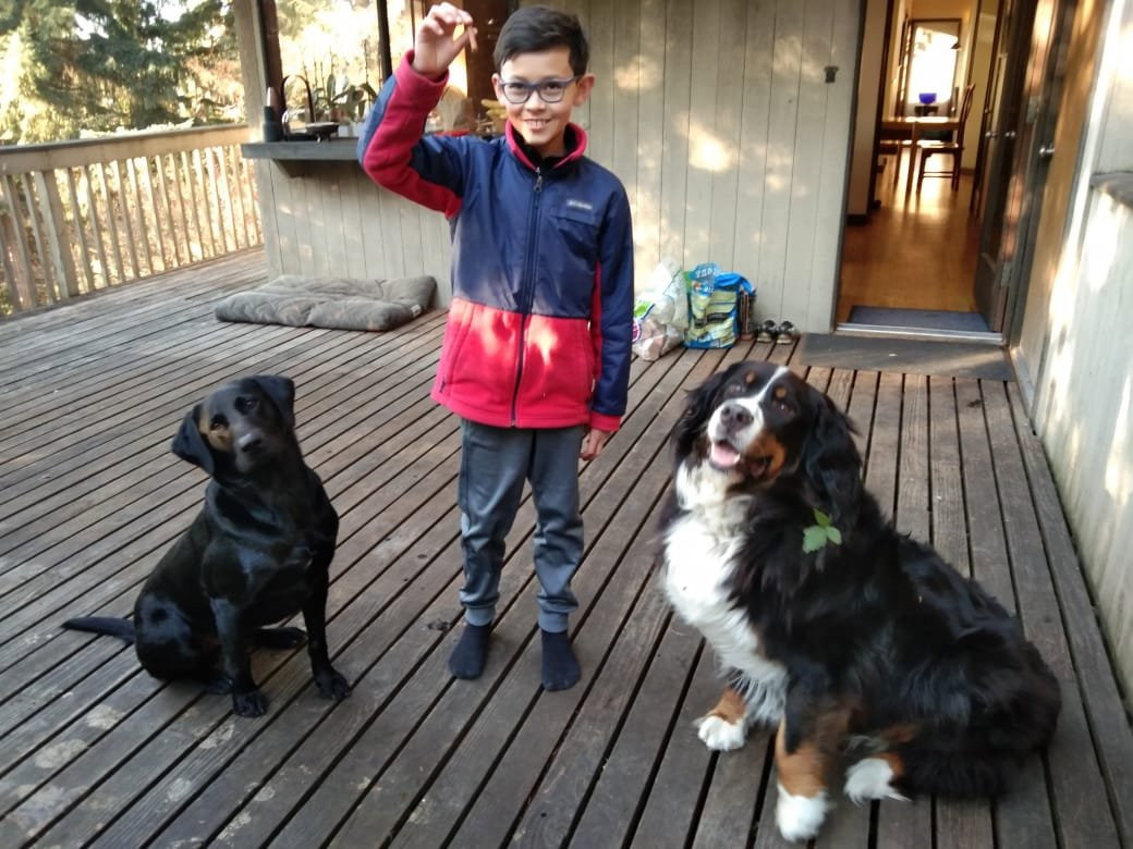 ieleke, pet sitter in Eemnes, photo 2