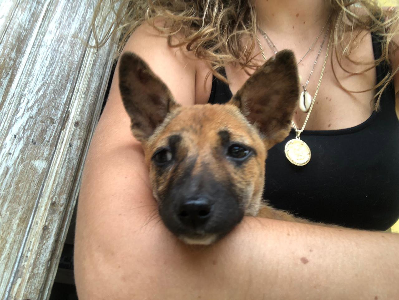 Charlotte, pet sitter in Deventer, photo 1