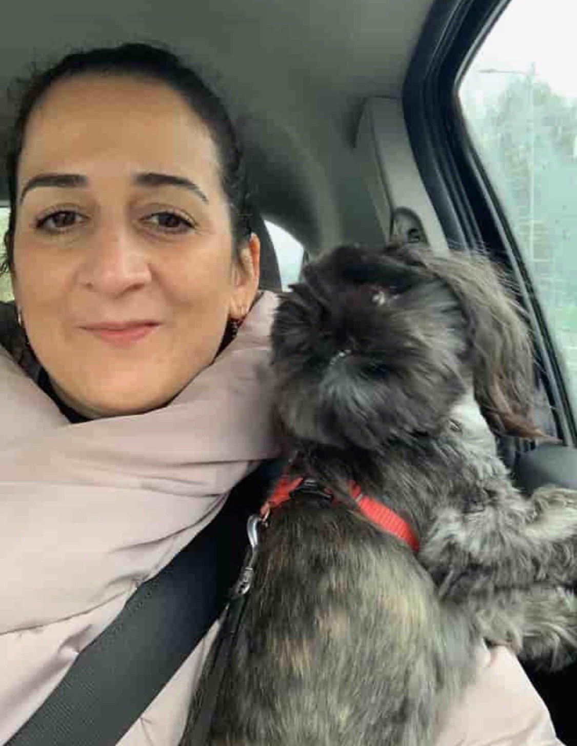 Catarina, pet sitter in Amstelveen, photo 1