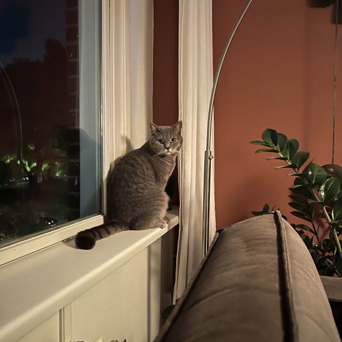 Marlies, pet sitter in Rotterdam, photo 4