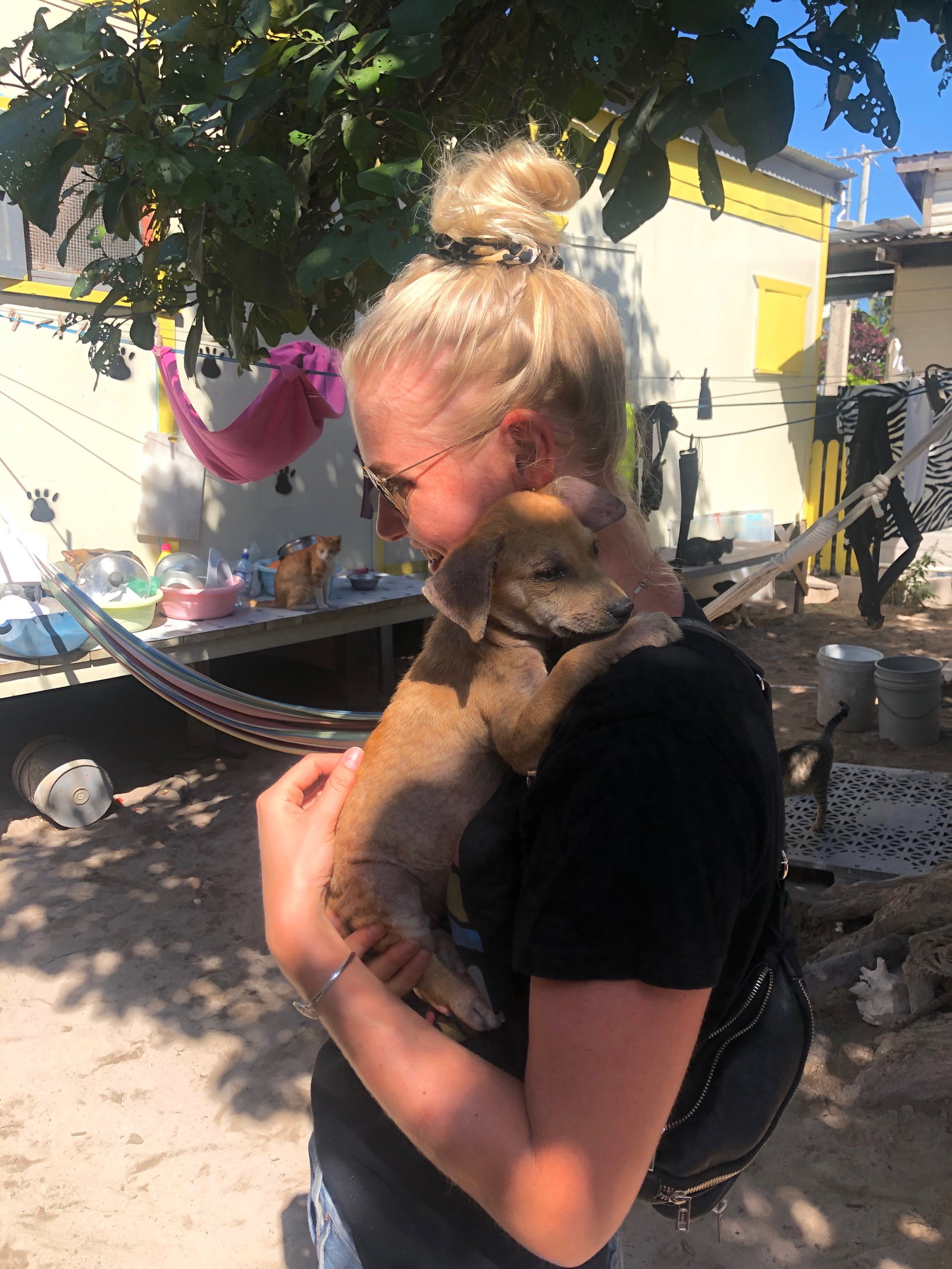 Fleur, pet sitter in Amsterdam, photo 2