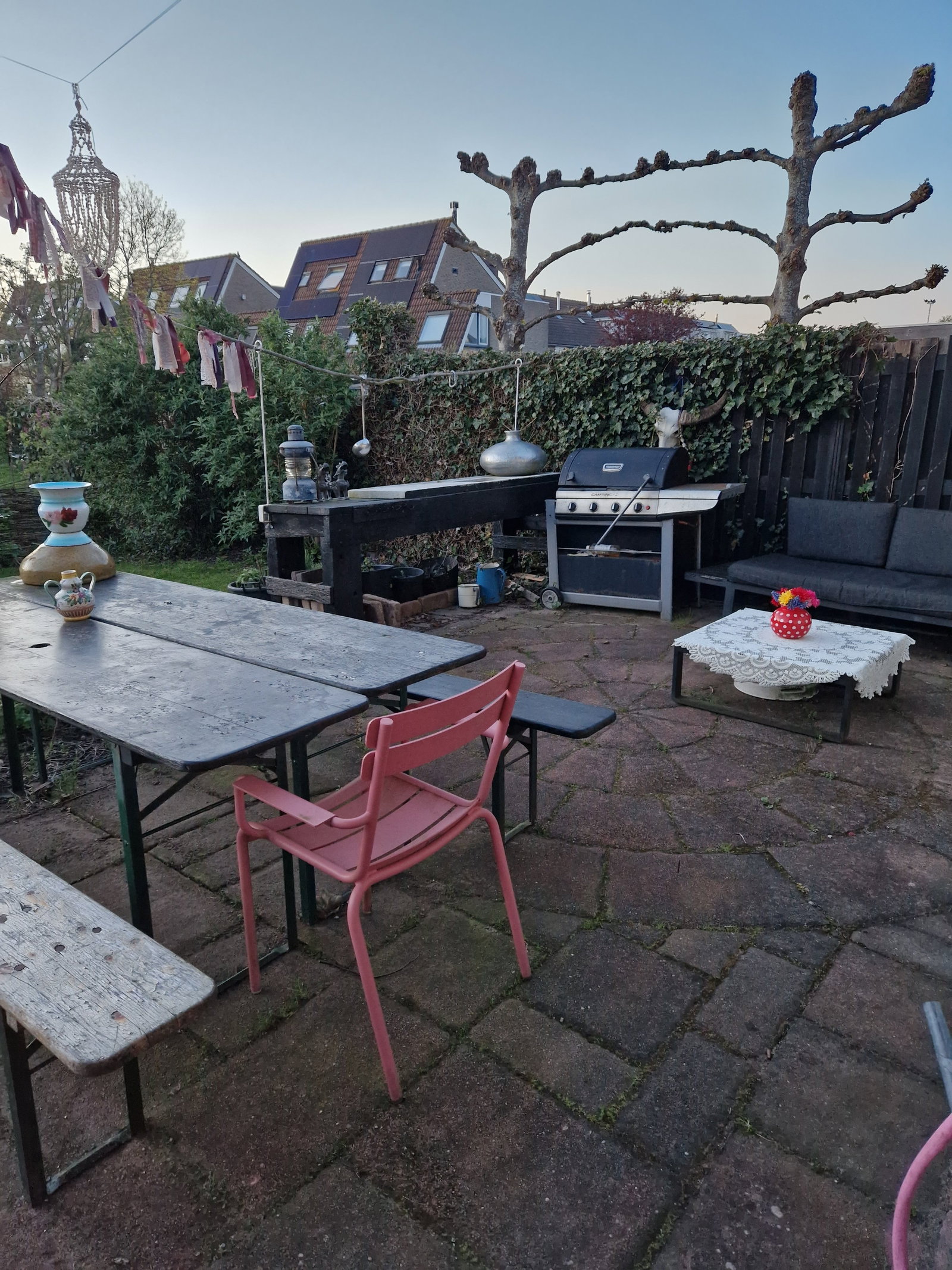 Ellen, dierenoppas in Lisserbroek, foto 2
