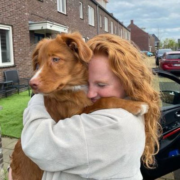 Chanel, pet sitter in Alphen aan den rijn, photo 3