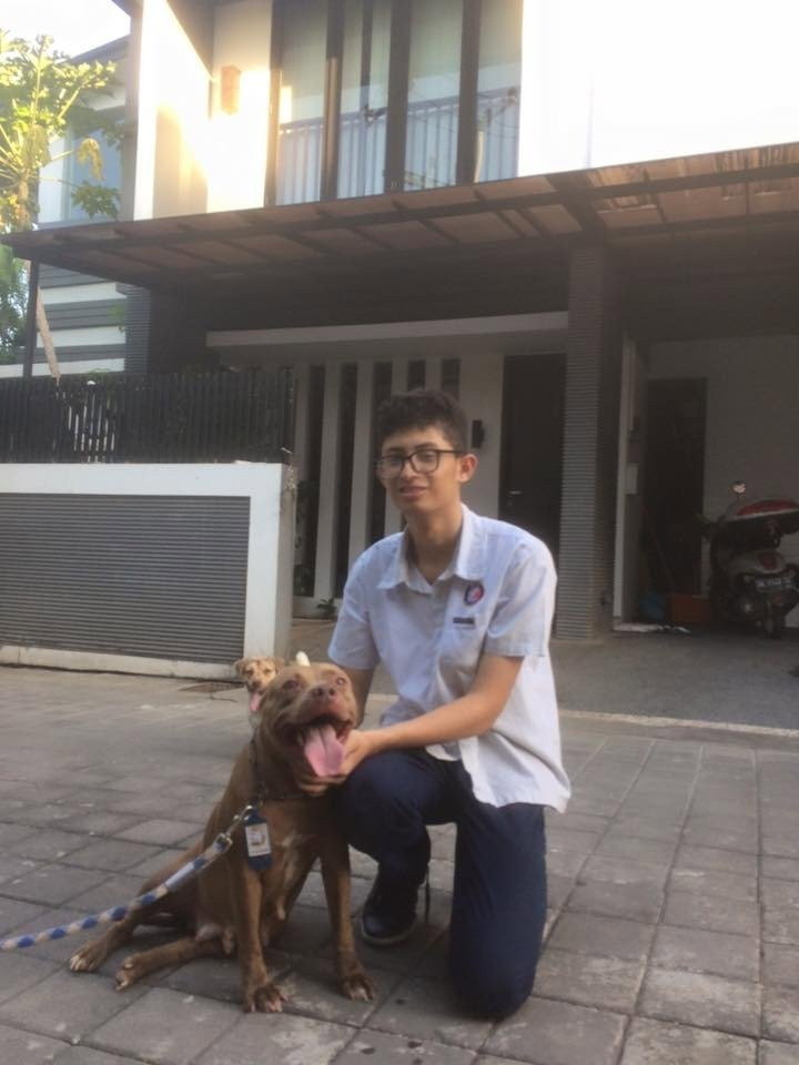 Gianni, pet sitter in Leeuwarden, photo 3