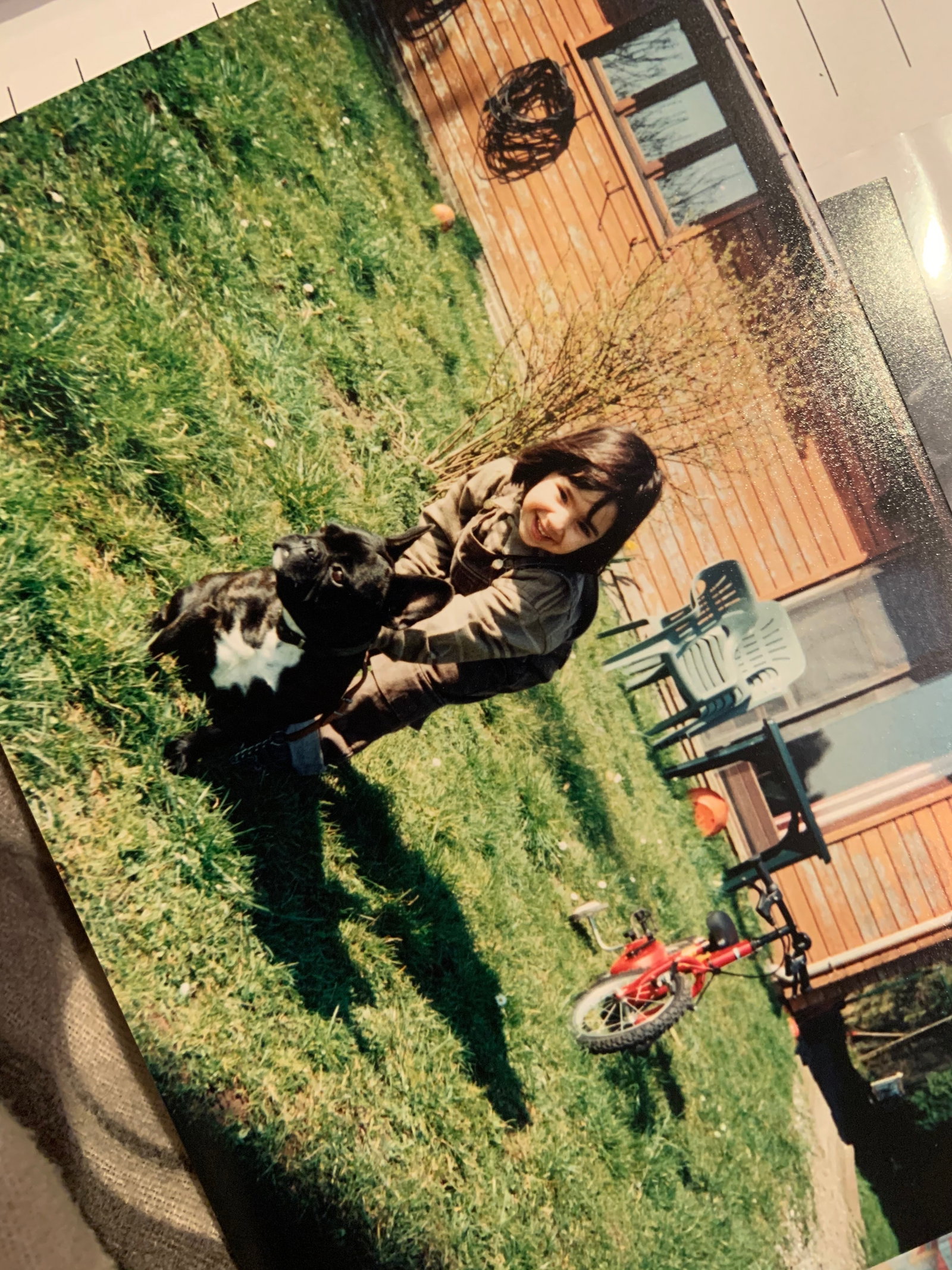 Anissa, dierenoppas in Beveren, foto 5