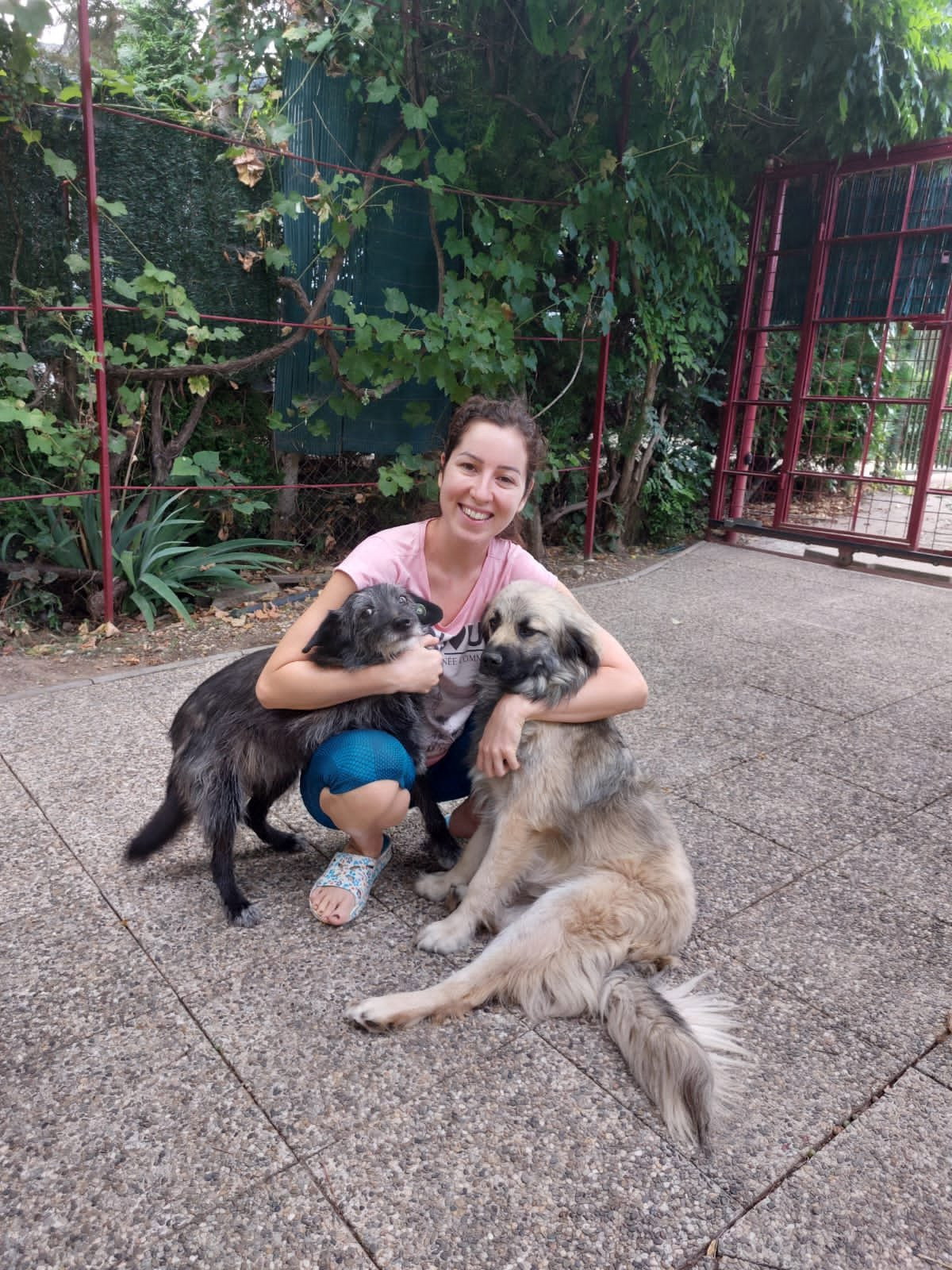 Cristiana, pet sitter in Diemen, photo 1
