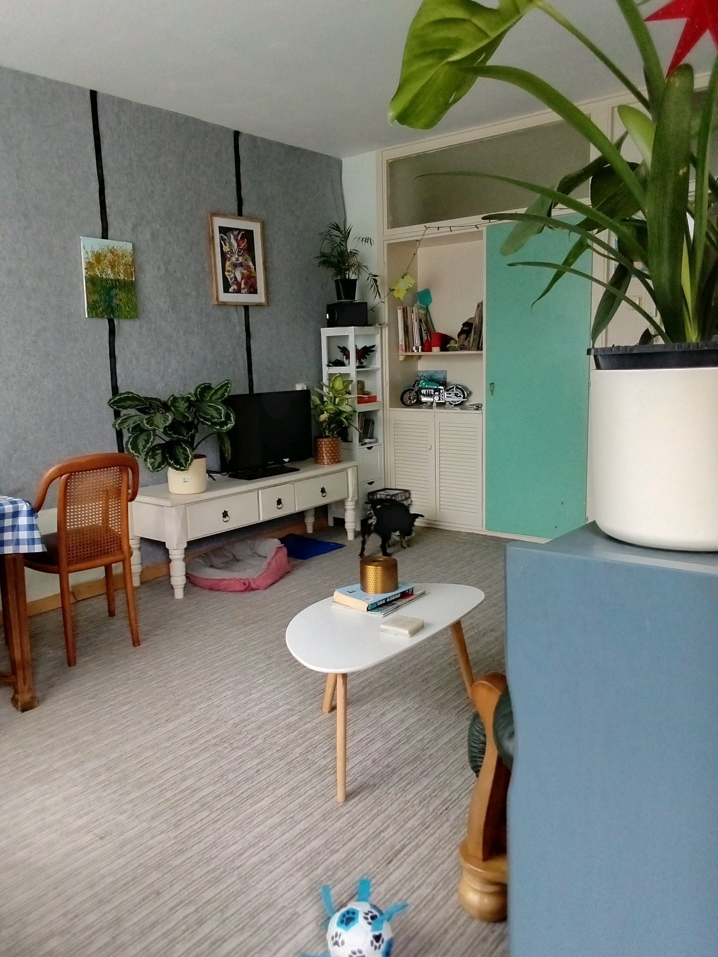 Tineke, dierenoppas in Giessenburg, foto 5