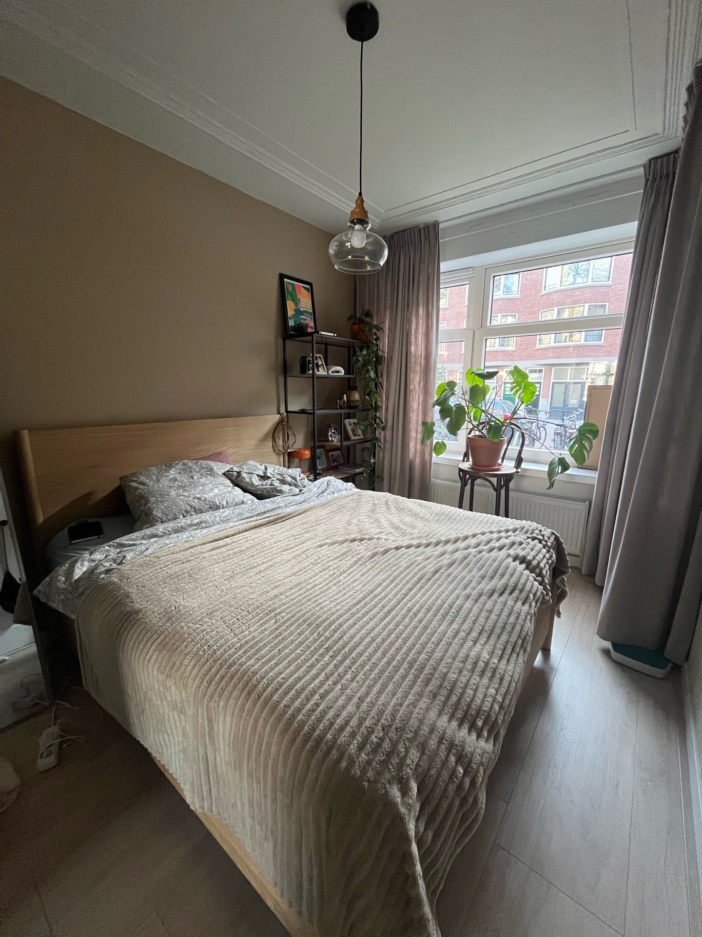 Maiara, dierenoppas in Rotterdam, foto 1