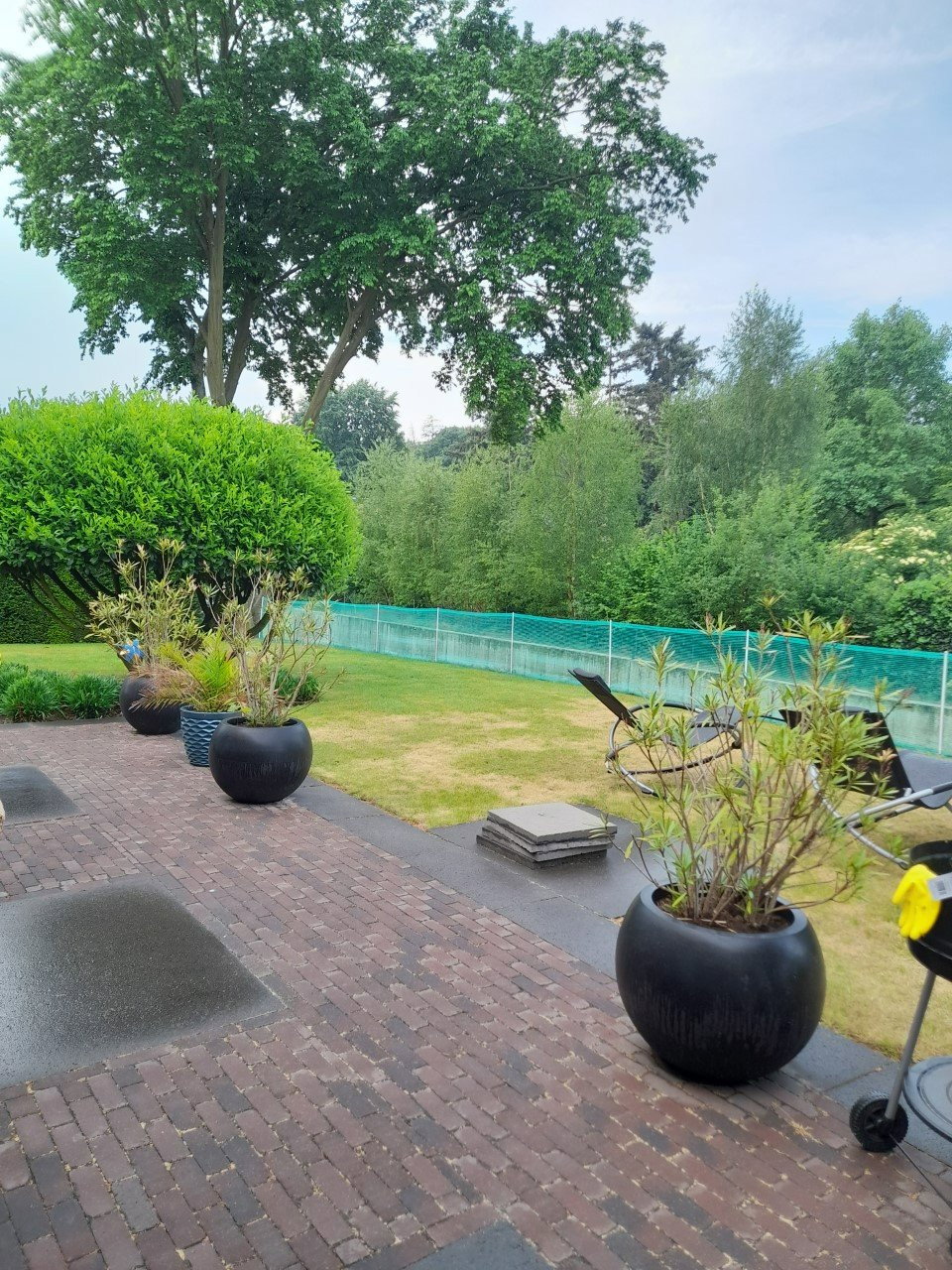 Minja, dierenoppas in Veldhoven, foto 1