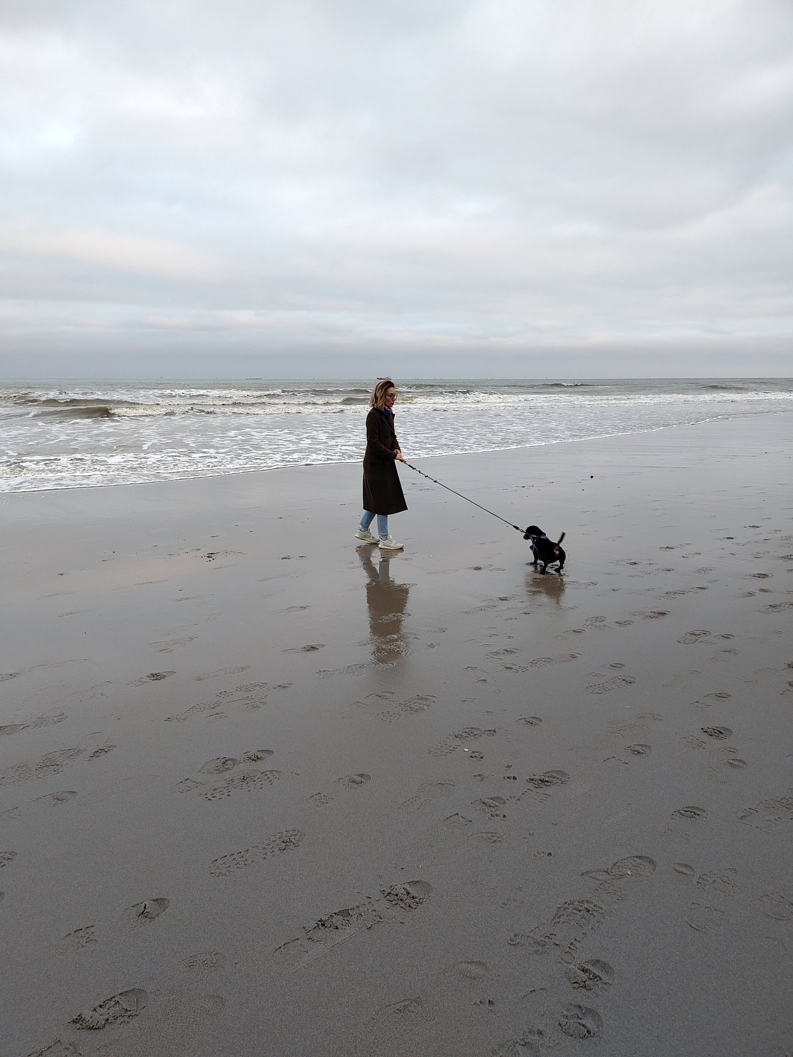 Joanna, dierenoppas in 's-Gravenhage, foto 5