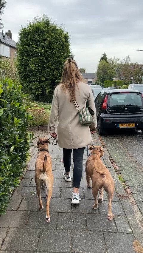 Sofie, pet sitter in Rotterdam, photo 2