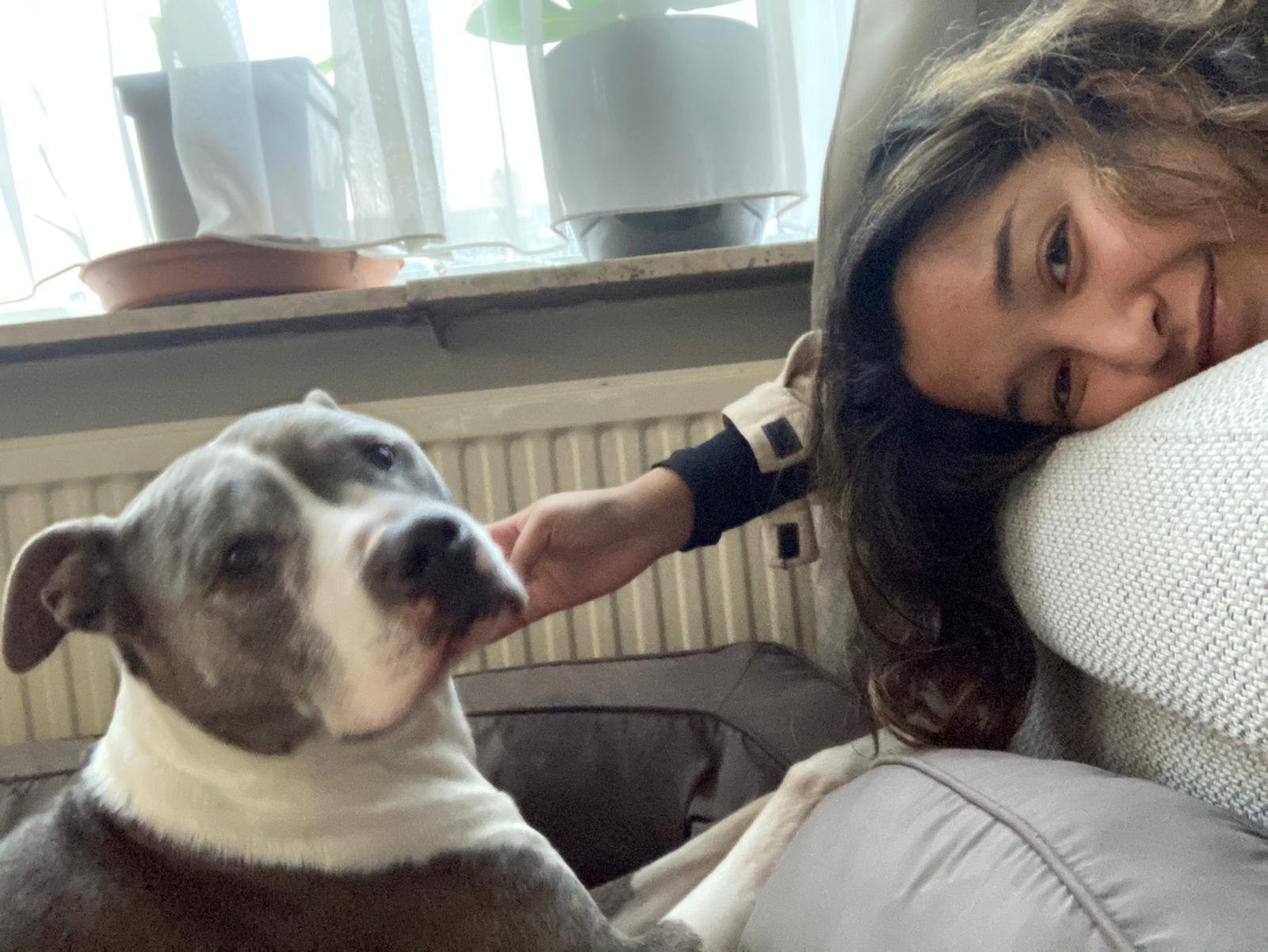 Dimple, pet sitter in Rotterdam, photo 3