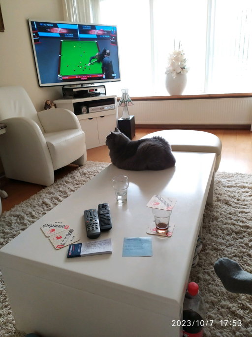 Petra, pet sitter in Enkhuizen, photo 2