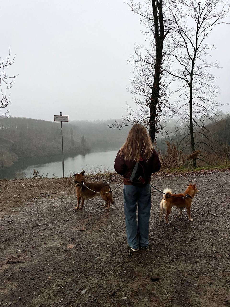 Oleksandra, Tiersitter in Wuppertal, Foto 1