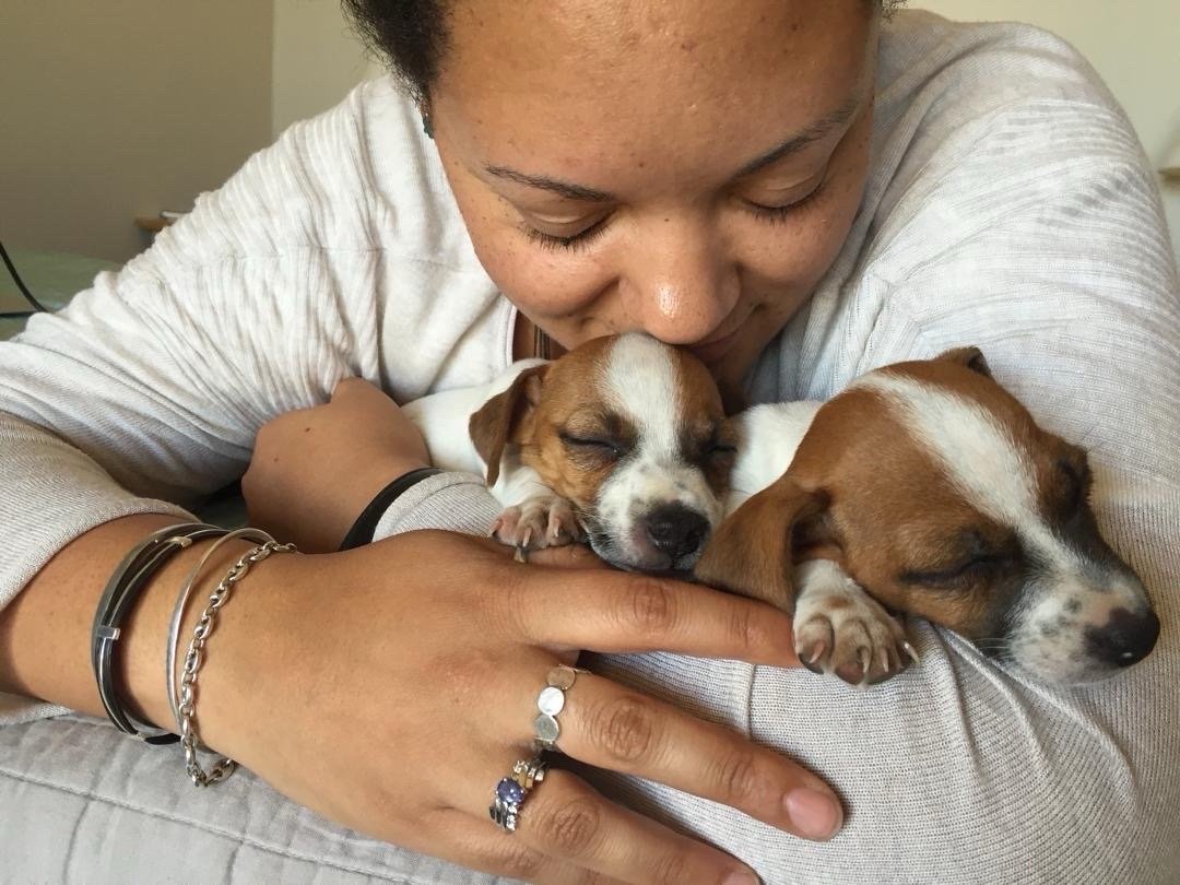 Sarah, pet sitter in Amsterdam, photo 1