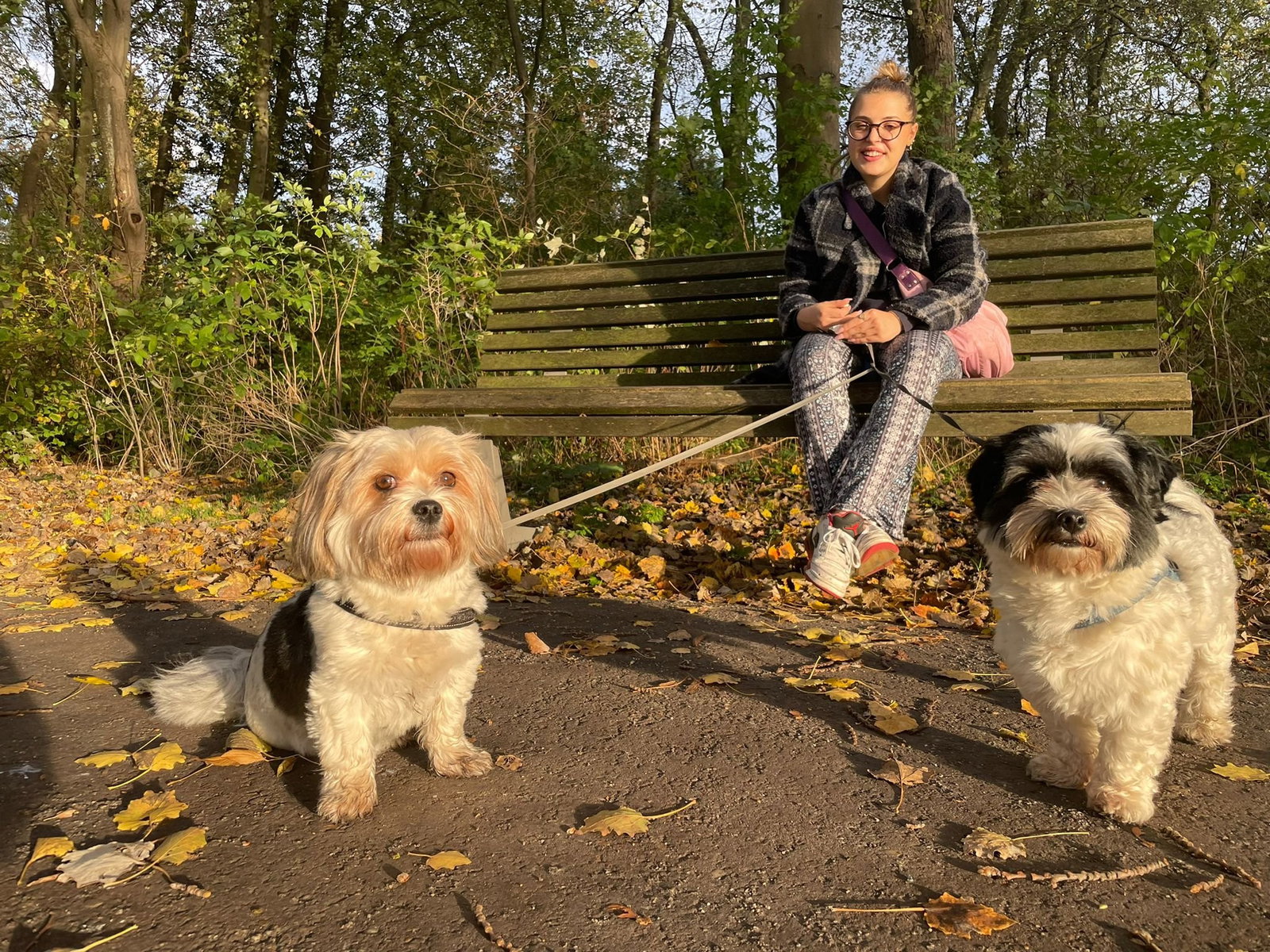Wanda, pet sitter in Berlin, photo 4