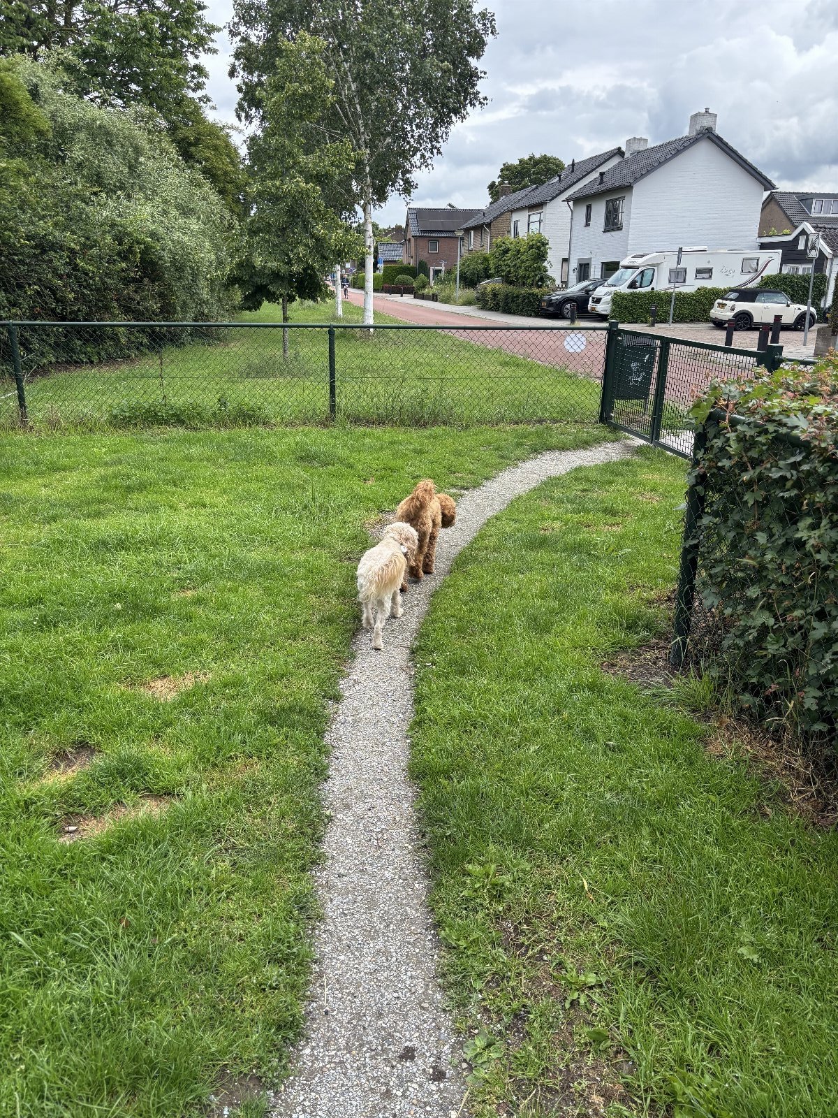 Kelly, pet sitter in Wijchen, photo 3