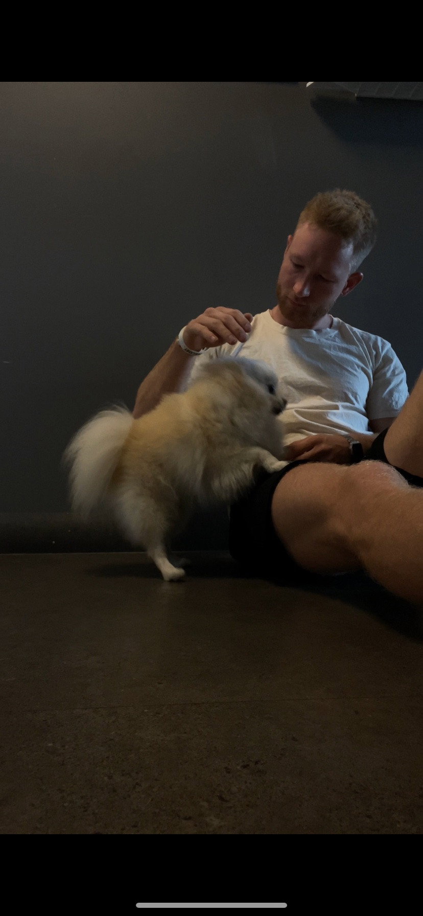 Robert, pet sitter in Münster, photo 4