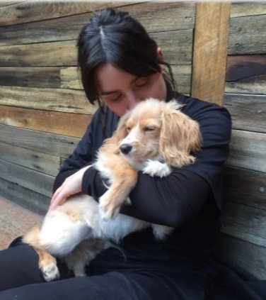 Ariane, pet sitter in Den Haag, photo 4