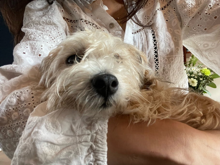 Frank & Kris, pet sitter in Utrecht, photo 3