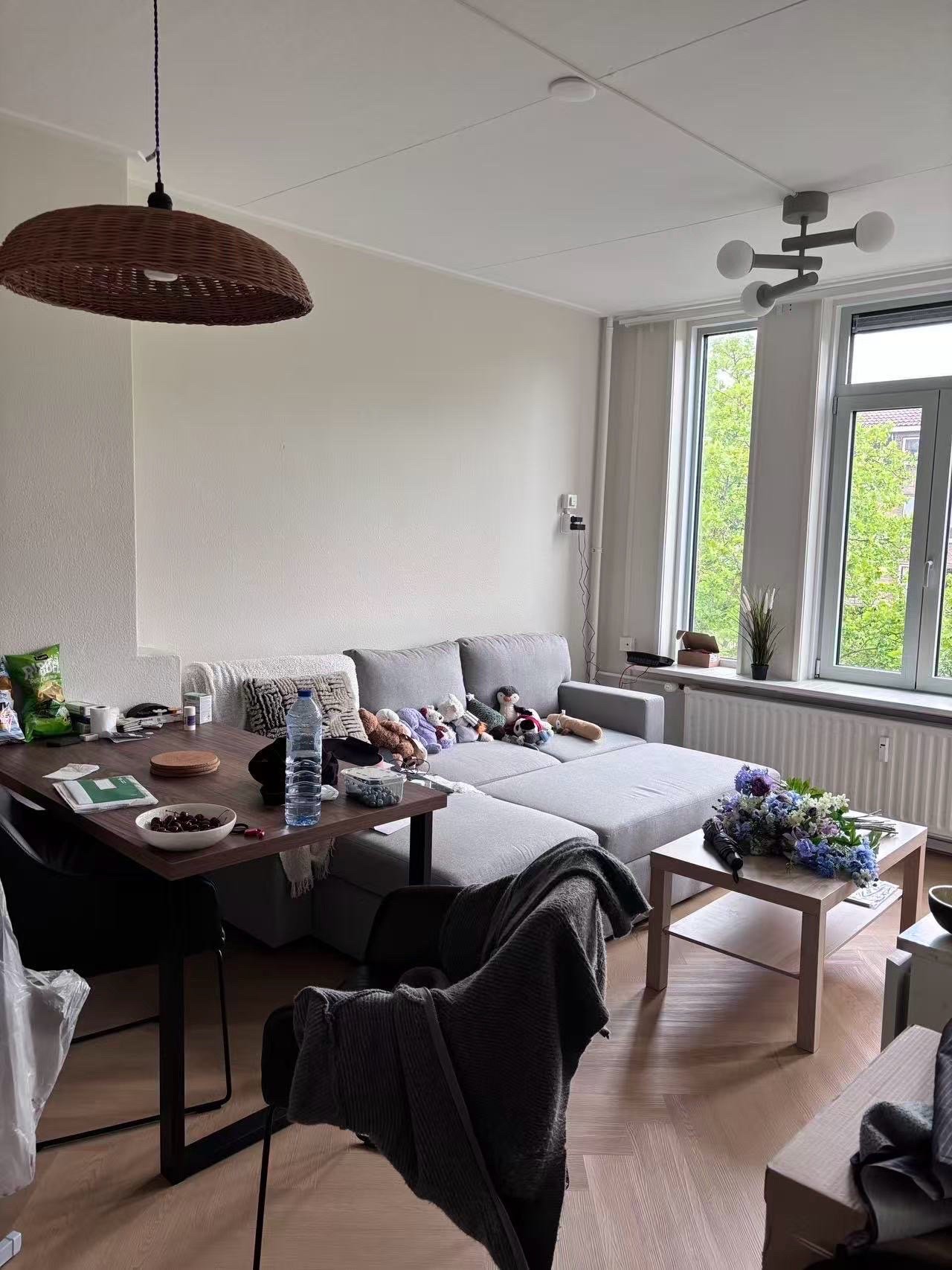 Oriel, pet sitter in Rotterdam, photo 2