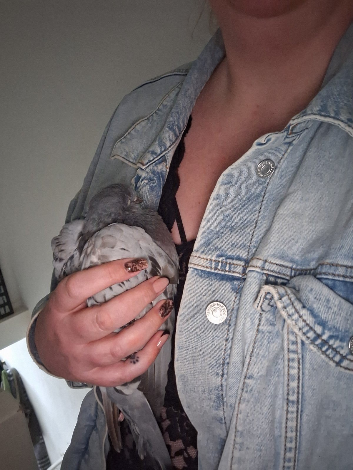 Eveline, pet sitter in Koedijk, photo 5