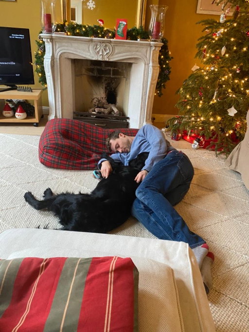 ludo, pet sitter in 's-Gravenhage, photo 1