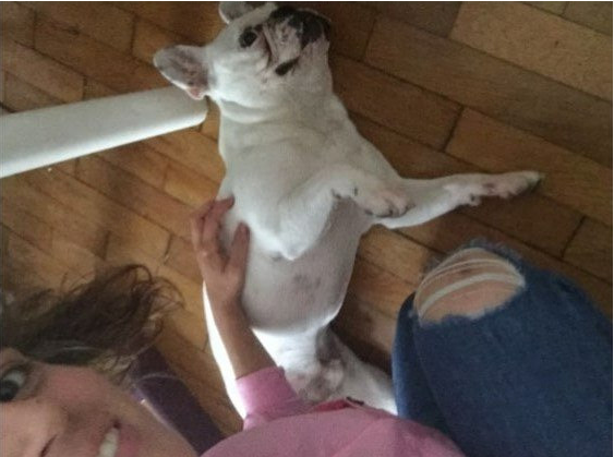 Cora, pet sitter in Utrecht, photo 3