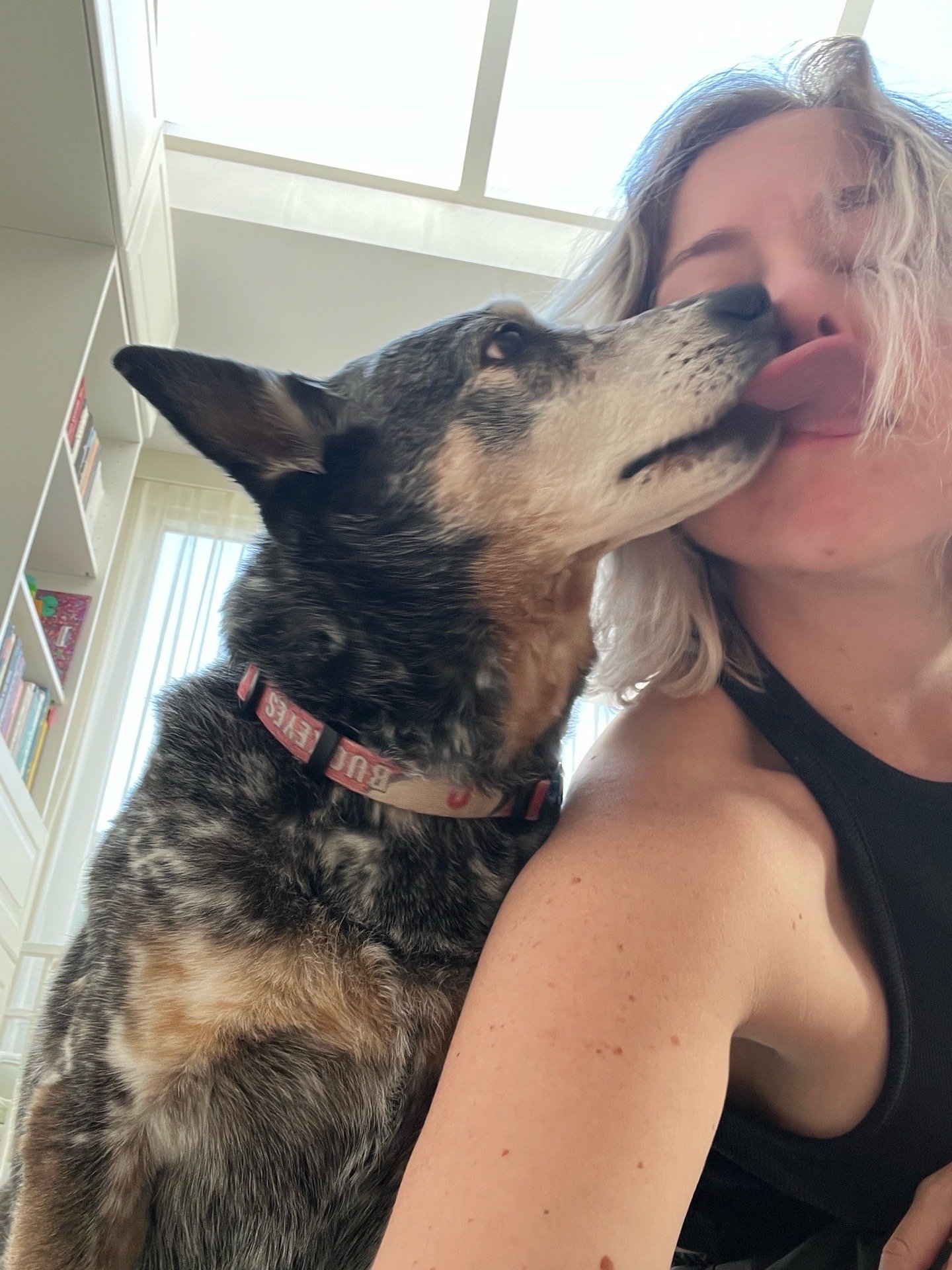 Cindy, pet sitter in Maassluis, photo 4