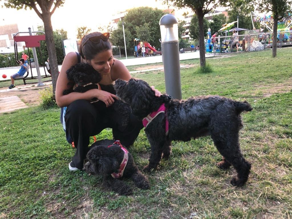 Benedetta, dierenoppas in Uccle, foto 2