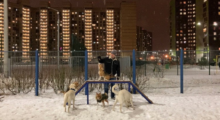 Olesia, pet sitter in Amsterdam, photo 4