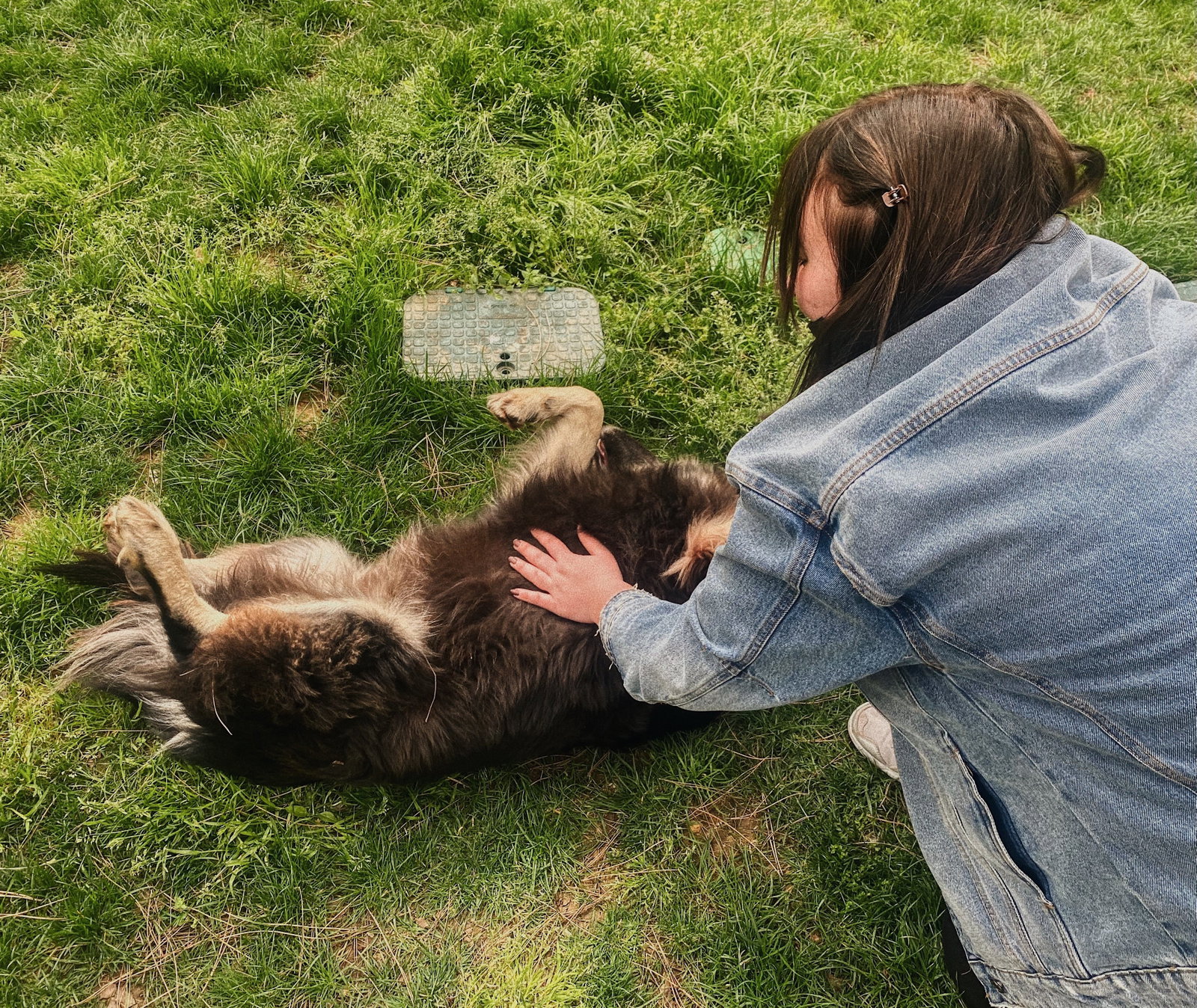 Zeynep, pet sitter in Leiden, photo 3