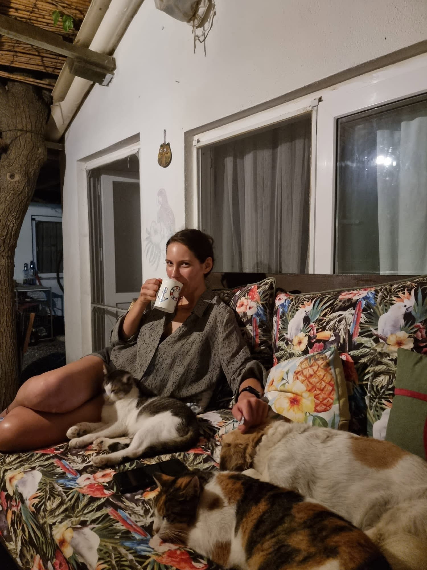 Gul, pet sitter in Amsterdam, photo 3