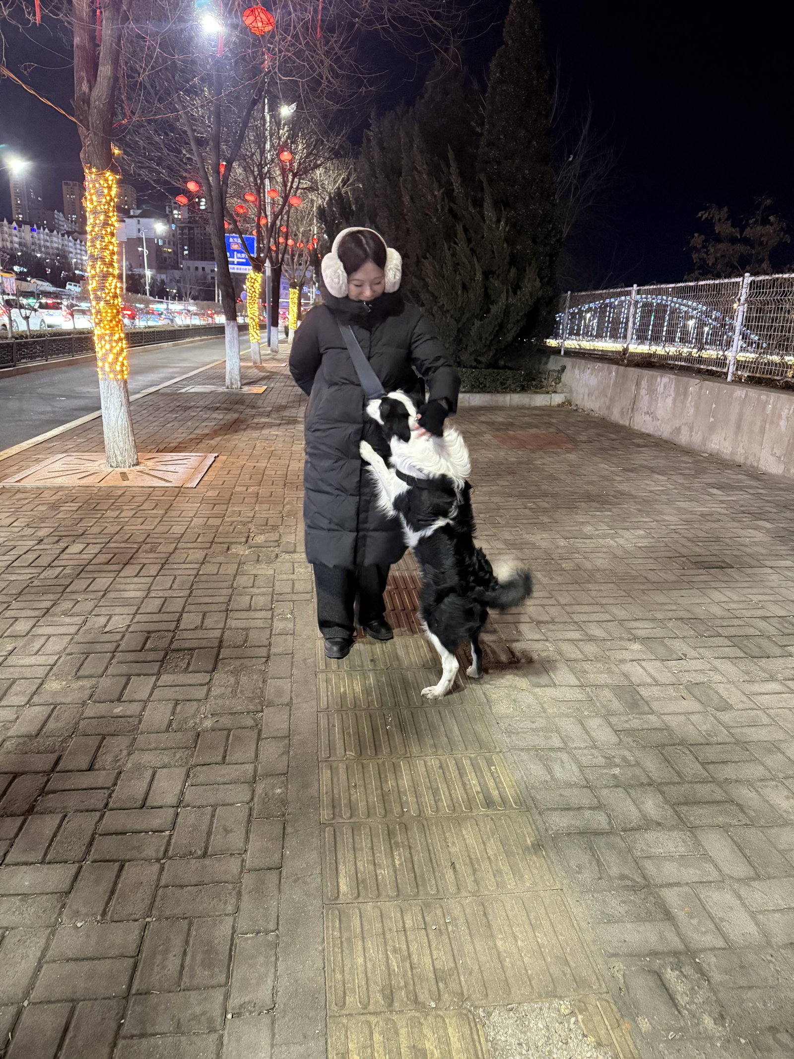 Yaya, pet sitter in Diemen, photo 4