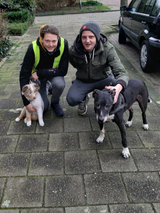 Maaike, pet sitter in Eindhoven, photo 2