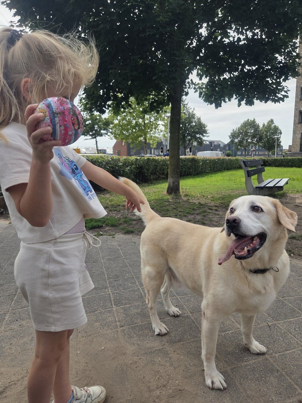 Leslie, pet sitter in Utrecht, photo 2