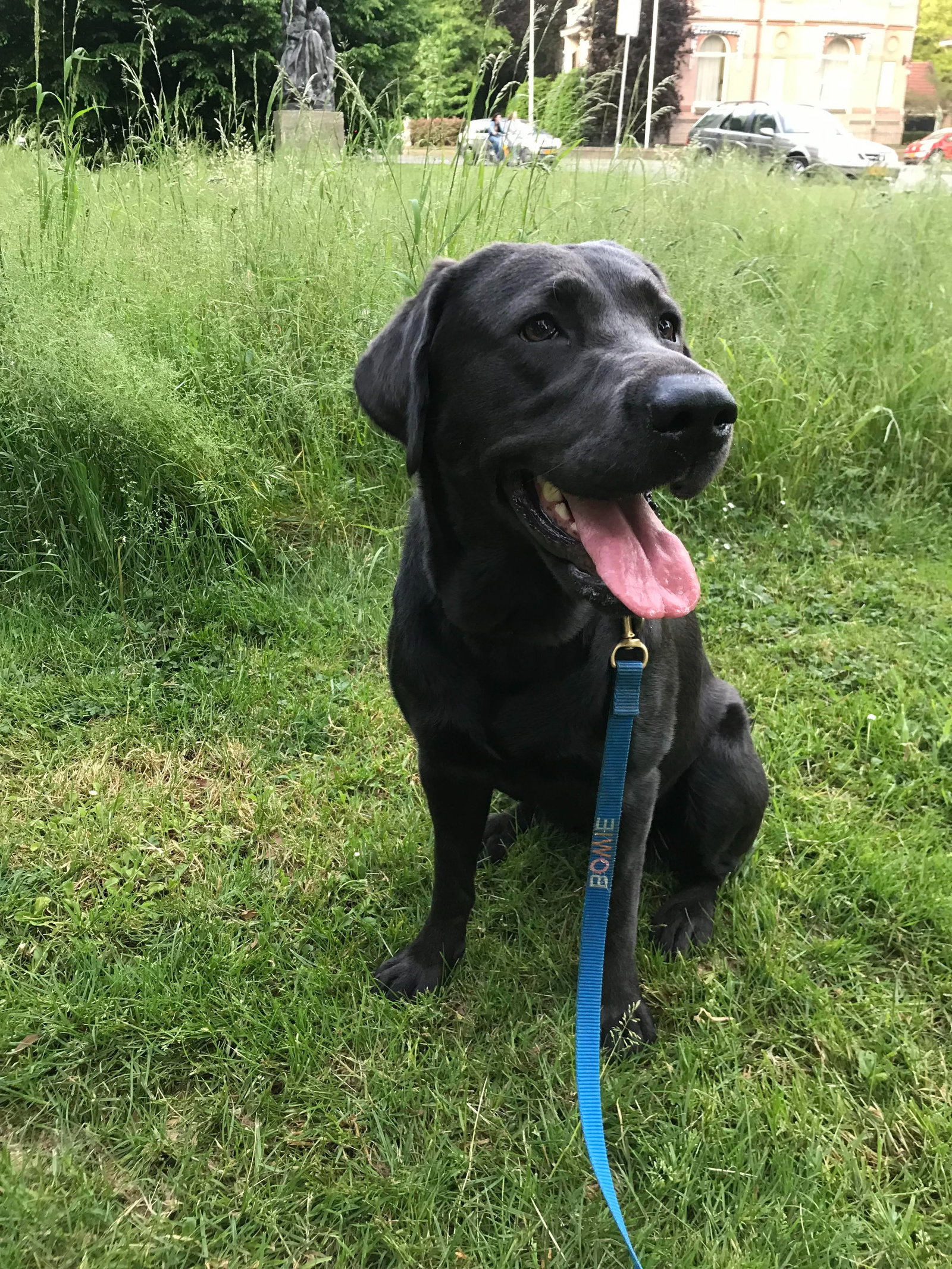 Jeanine, pet sitter in Laag-Soeren, photo 2