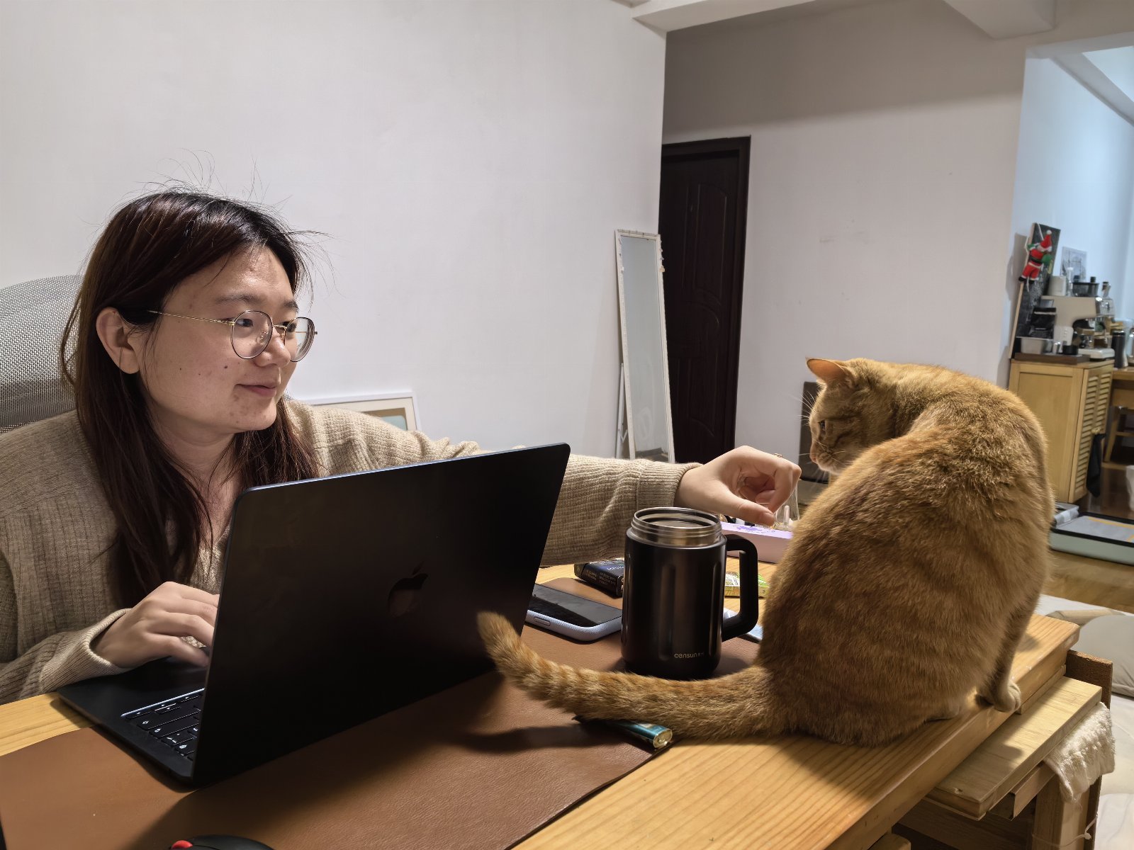 Bingjie, pet sitter in Rijswijk, photo 1