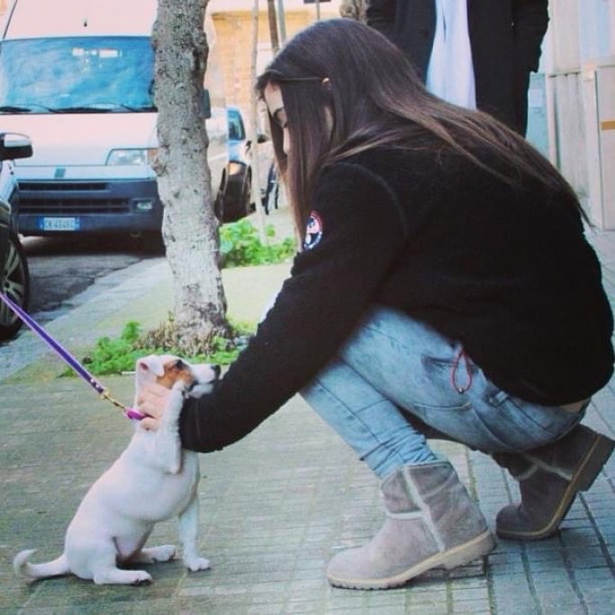 Clara, pet sitter in Amsterdam, photo 1