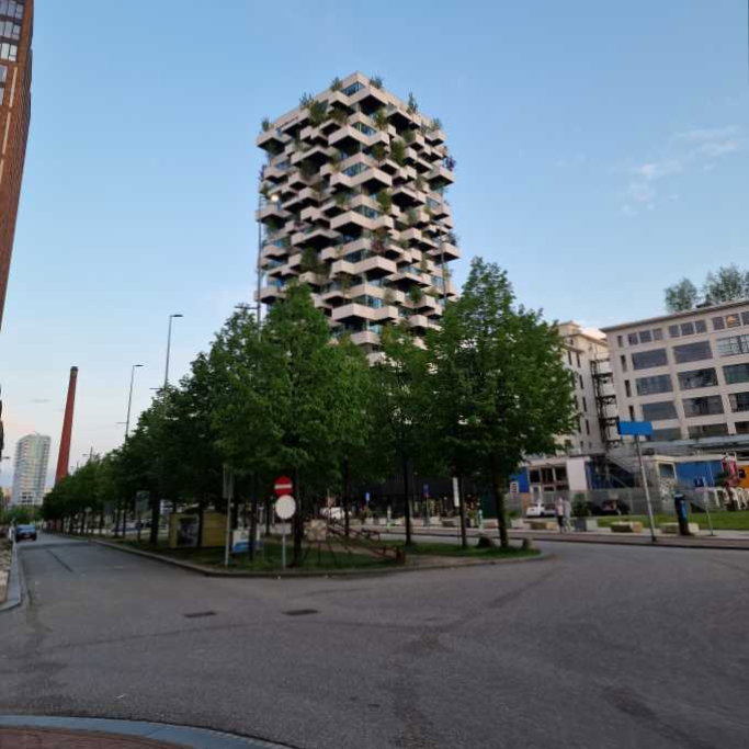 Christoforos, pet sitter in Eindhoven, photo 1