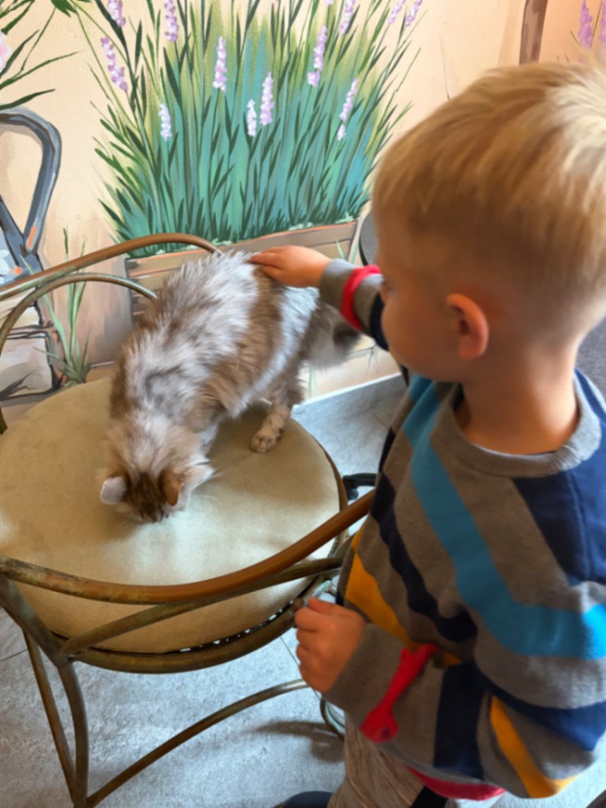 Yulia, pet sitter in Amsterdam, photo 1