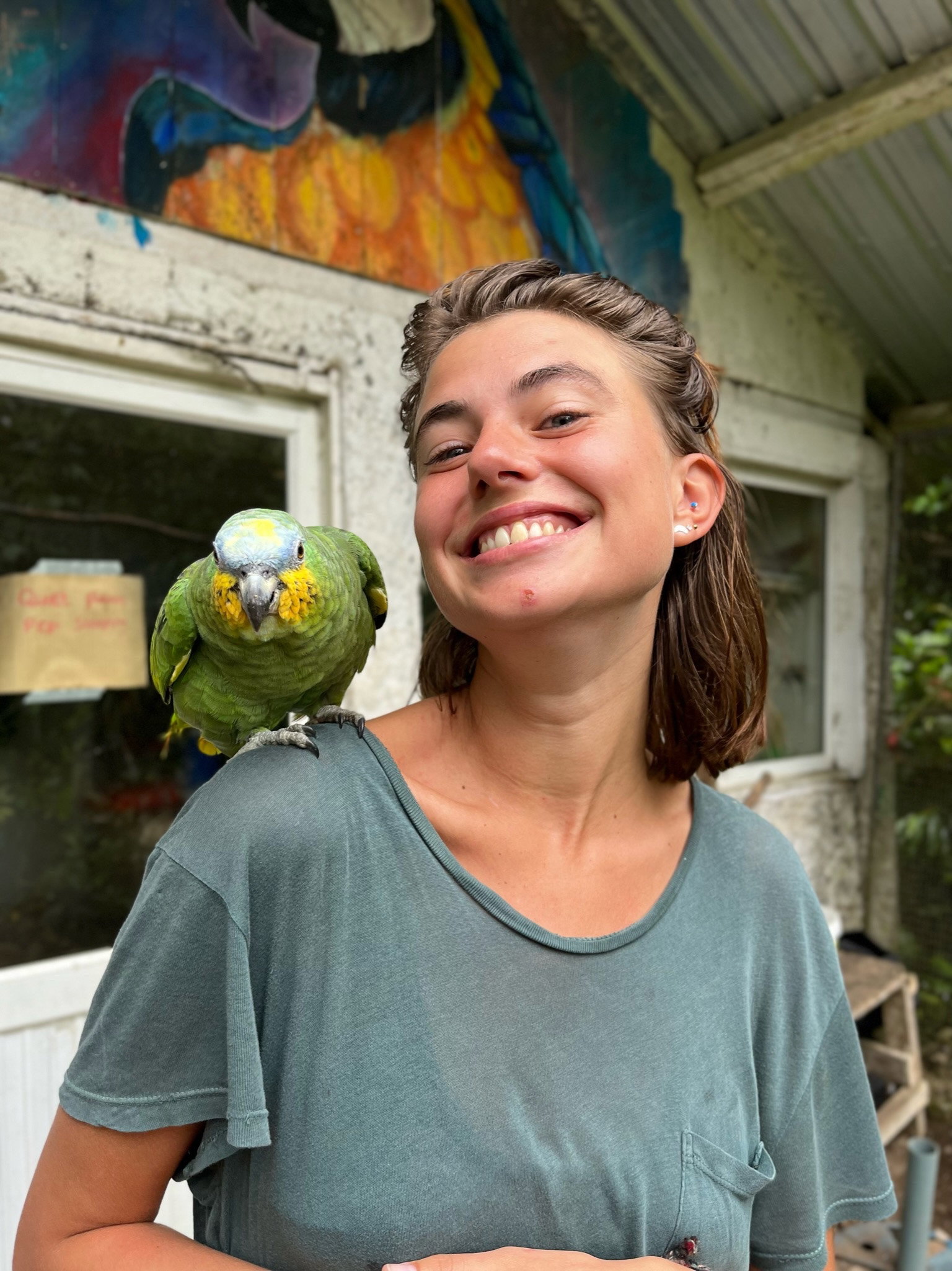 Loulou, pet sitter in Amsterdam, photo 5