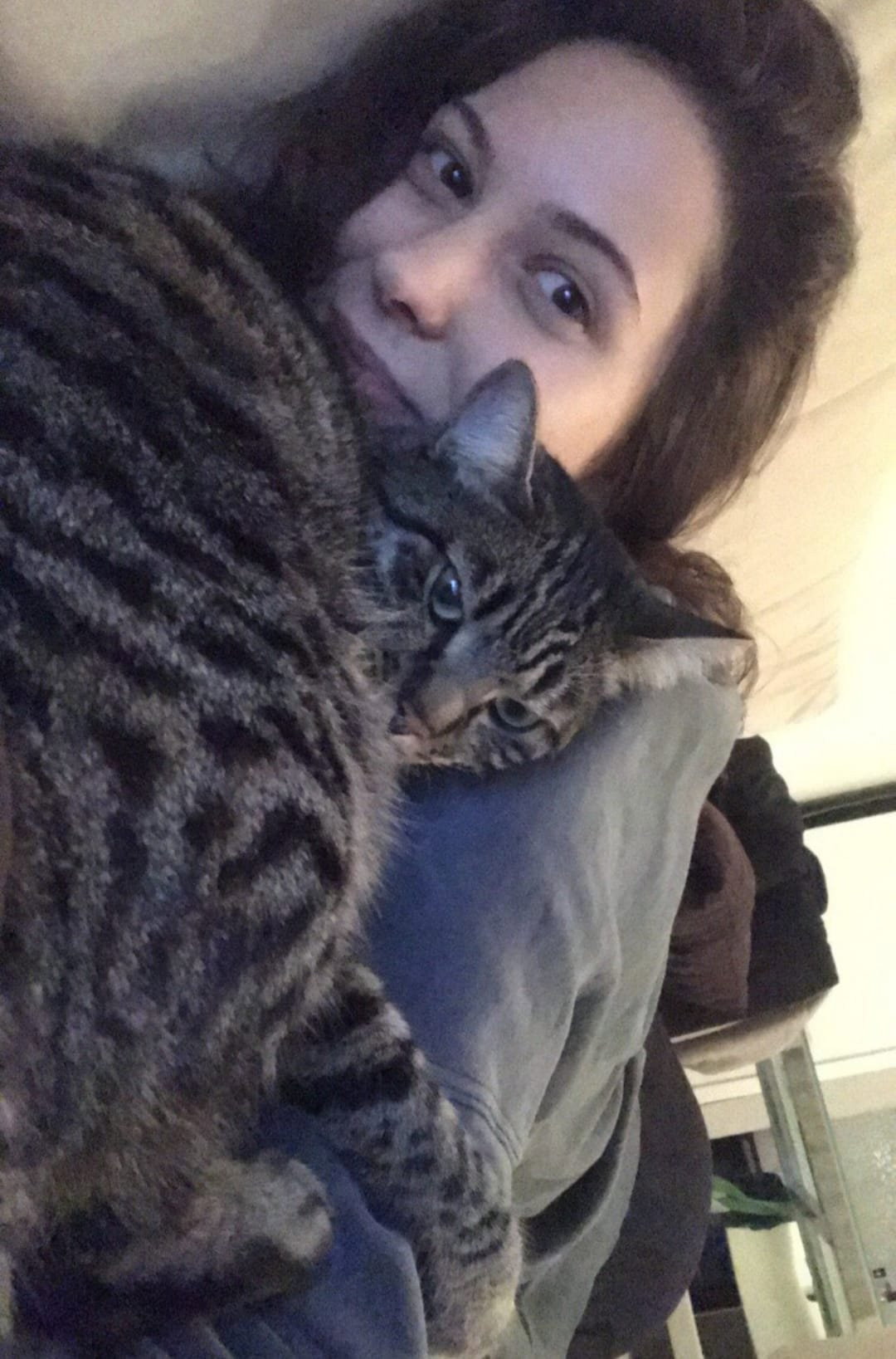 Gul, pet sitter in Amsterdam, photo 1