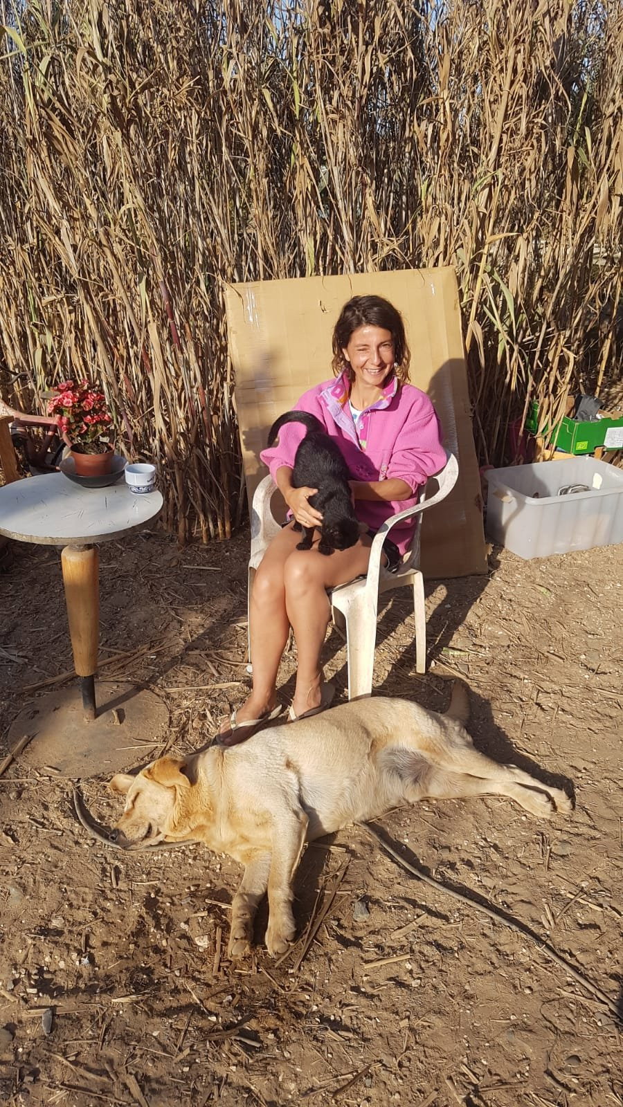Daniela, pet sitter in Alkmaar, photo 4