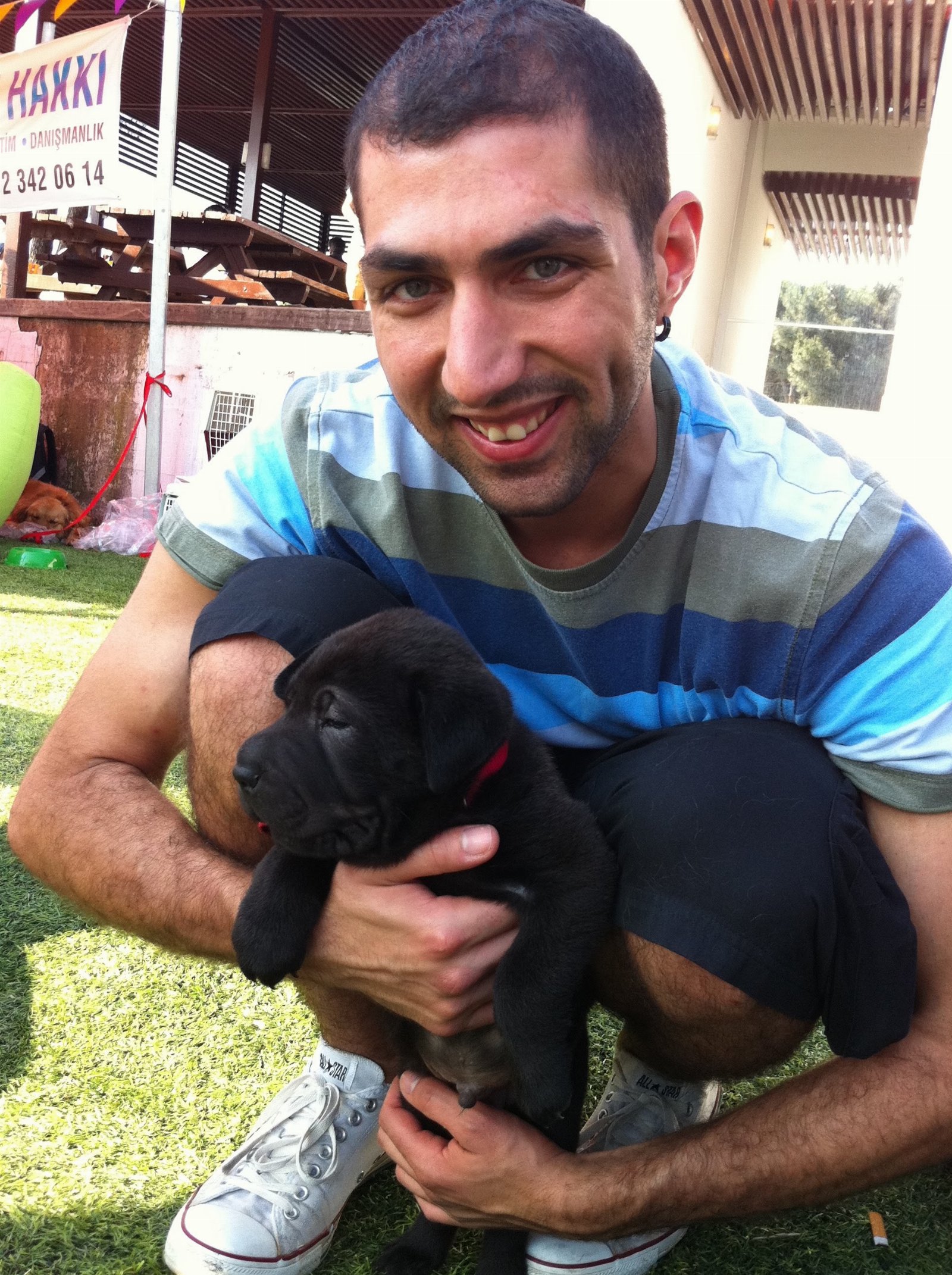 vili, pet sitter in Amstelveen, photo 4