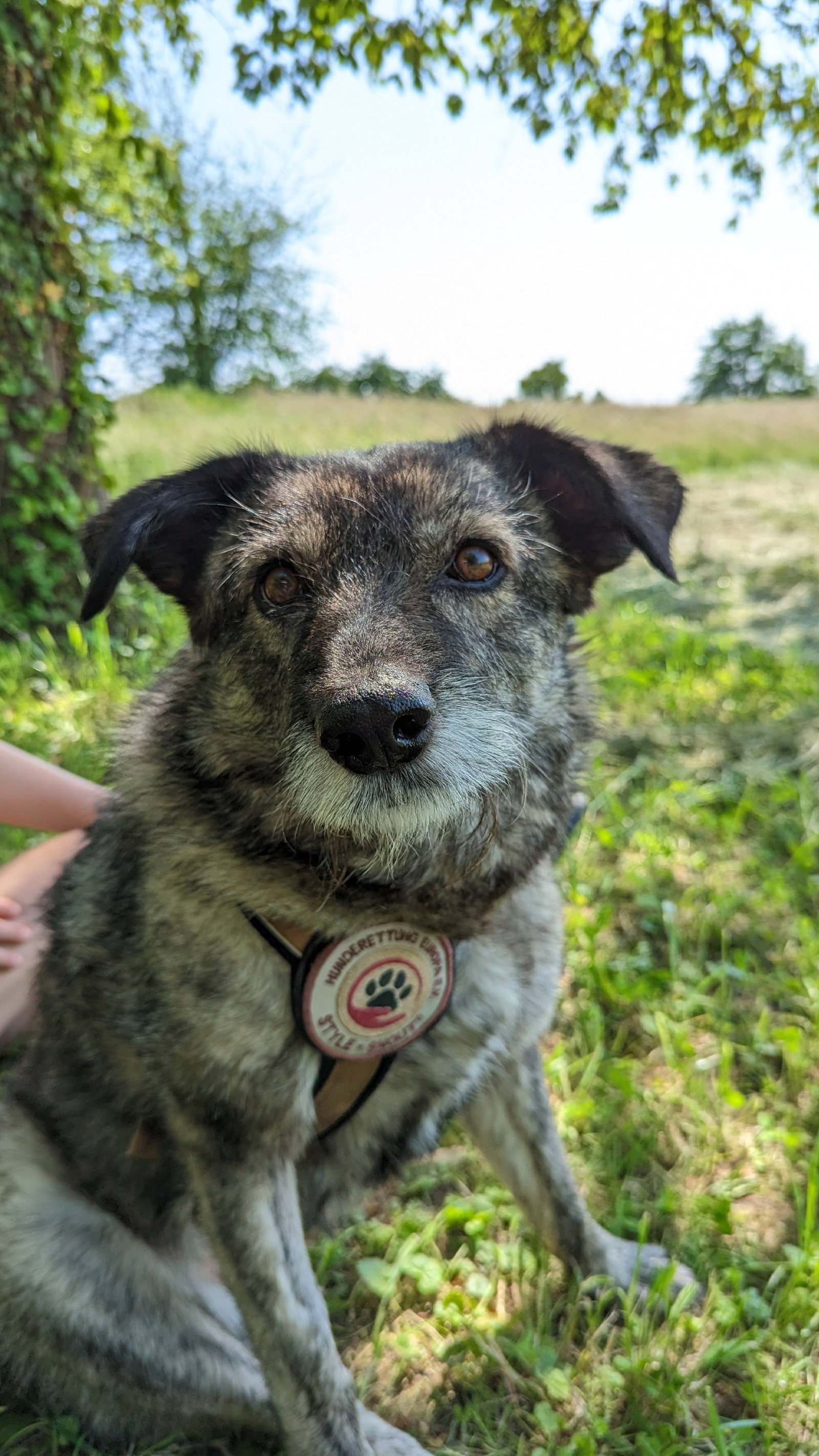 Jana, pet sitter in Bonndorf im Schwarzwald, photo 1