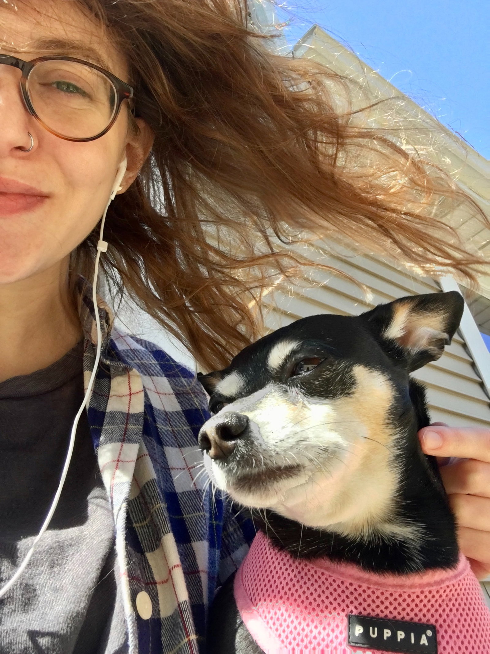 Kelsey, pet sitter in Amsterdam, photo 1